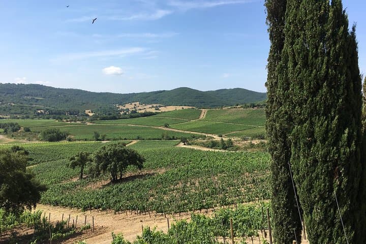Unique Tuscany Experience in 1 week with the locals