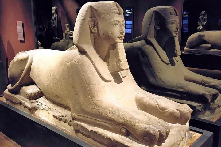 Egyptian Museum of Turin Private Tour with Expert Guide & Skip-the-line Tickets