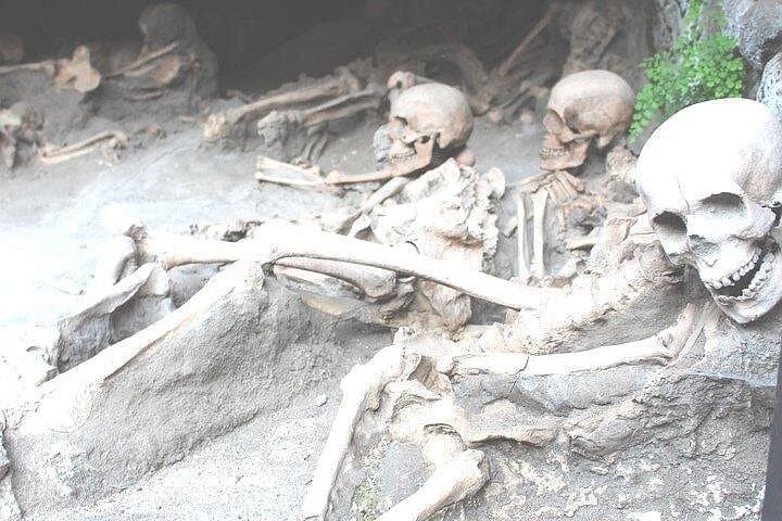 Pompeii & Herculaneum Trip from Rome with Hotel Pick Up & Skip-the-Line Tickets