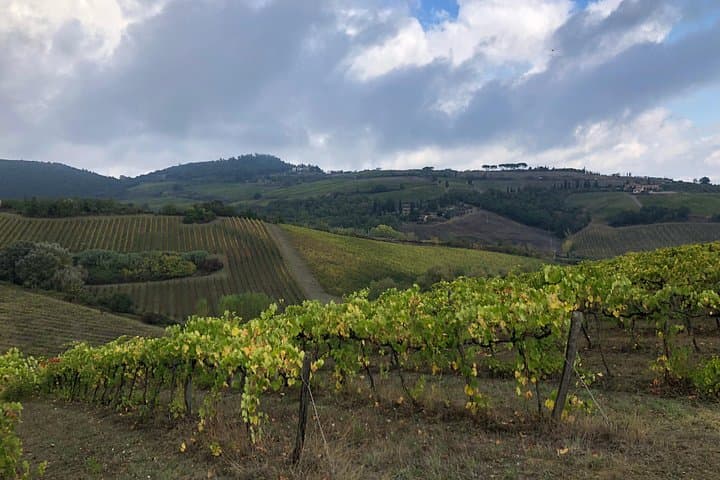 Brunello di Montalcino wine experience with a sommelier