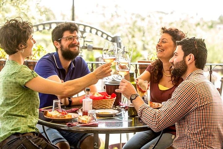 Organic Wine Tasting & Lunch on Vesuvius with Transfer from Pompeii