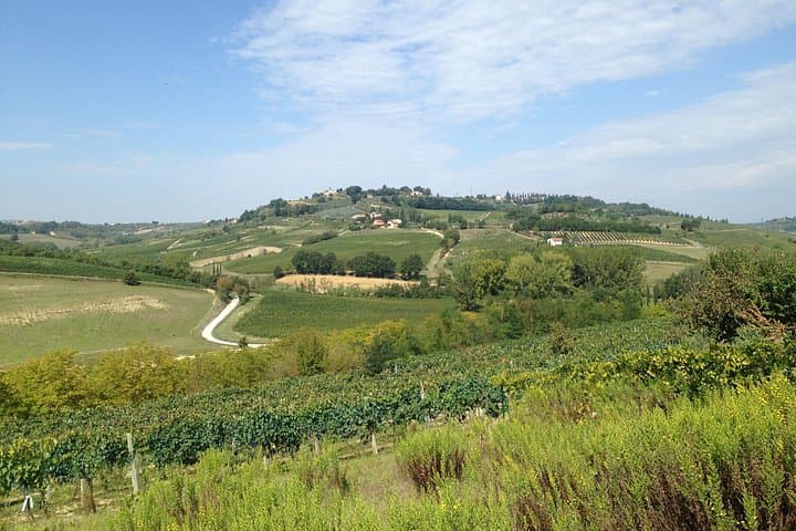 Tuscany Wine Tour from Livorno Port