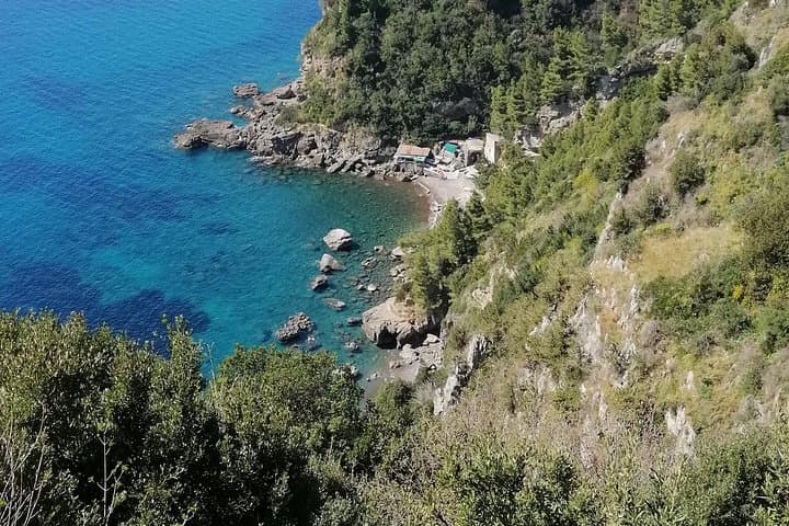 Private day tour: Pompeii, Sorrento and Positano.