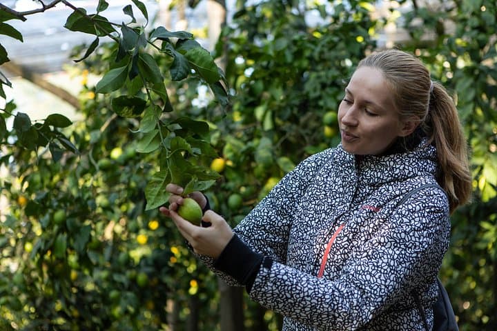 Food tours are the ideal way to immerse yourself in local culture, while enjoying gourmet specialties.