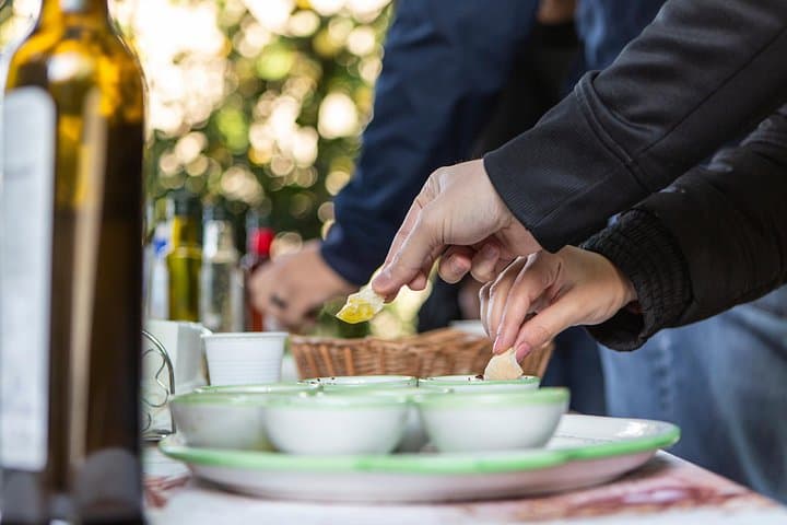 Enjoy a dip into the history of the Limoneto Storico farm to taste and discover the making of the incredible olive oils of Sorrento.