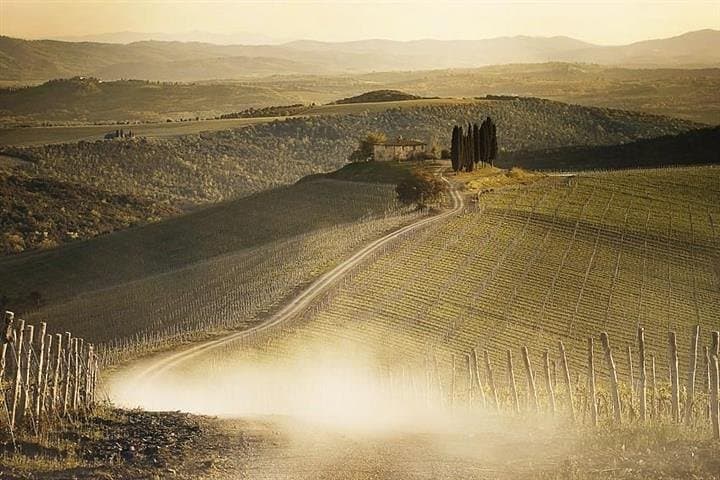 Full Day Siena , Montalcino, Val D'Orcia from Rome
