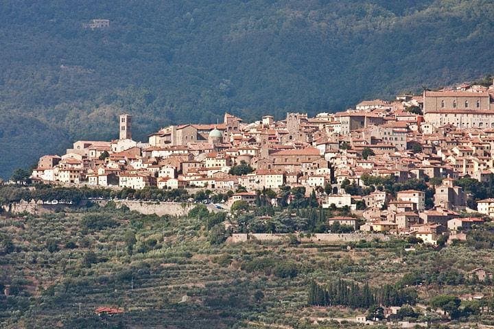 Full Day Siena , Montalcino, Val D'Orcia from Rome