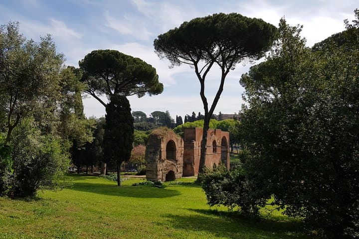 Rome Imperial Past Colosseum, Forum and Palatine Tour