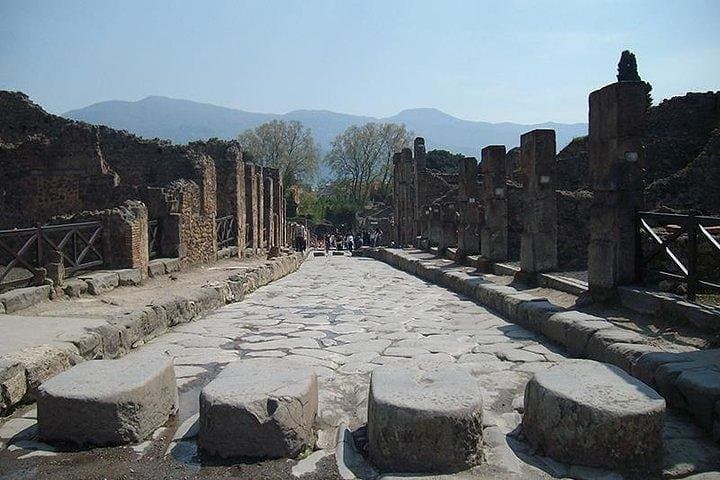 Guided Tour of Pompeii and Herculaneum with Lunch and Ticket