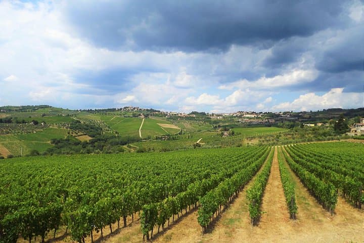 Safari in Chianti Open Top Van and Tasting Wine