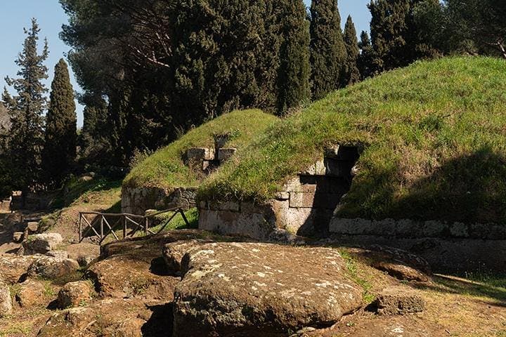 Ancient Etruscan Civilization Tour from Rome