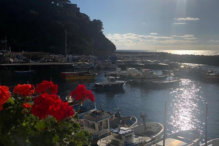 Small-group Positano Capri