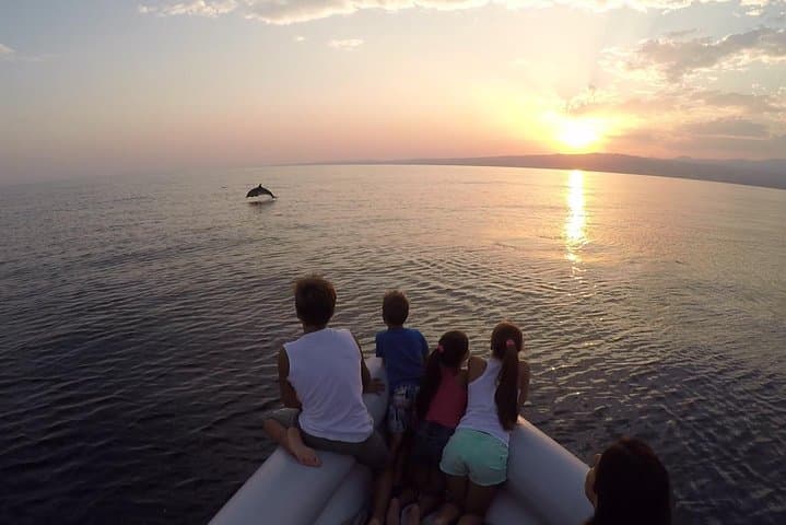 Dolphin Watching & Conservation - Dolphins in the Gulf of Catania