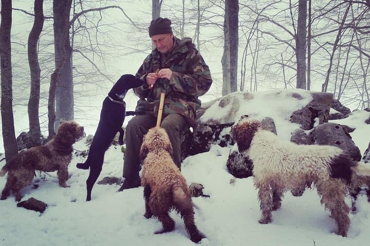 Truffle hunting near Rome with 7-course lunch