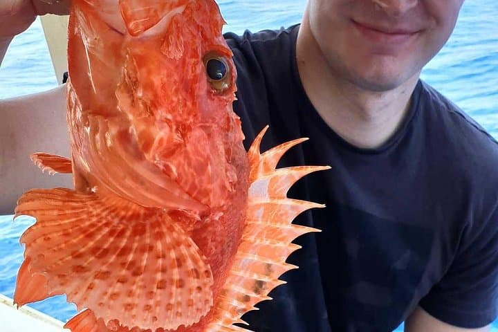 Fishing Tour in Sorrento - enjoy a lunch on board