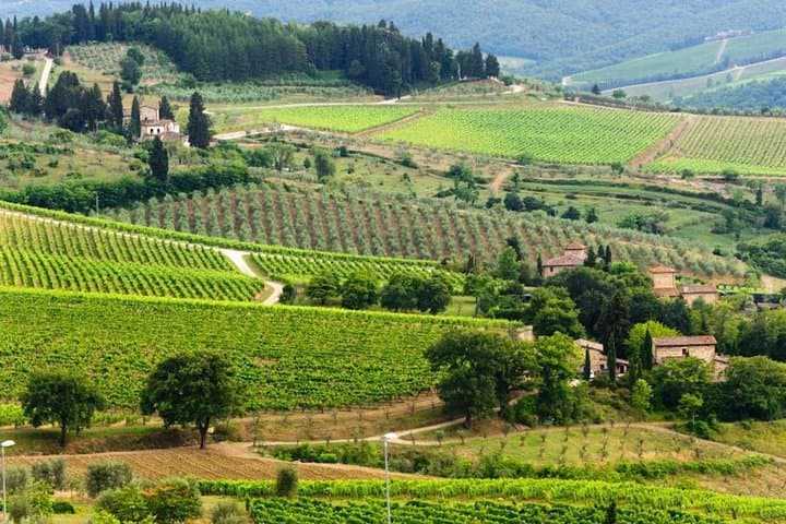 Chianti area