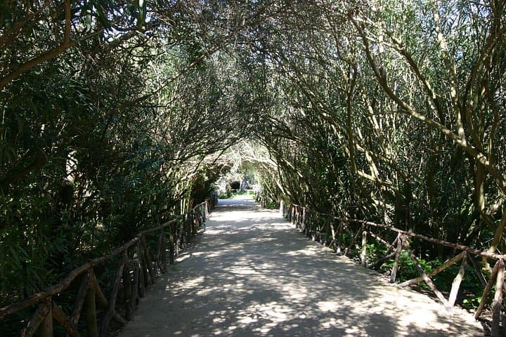Latomia del Paradiso