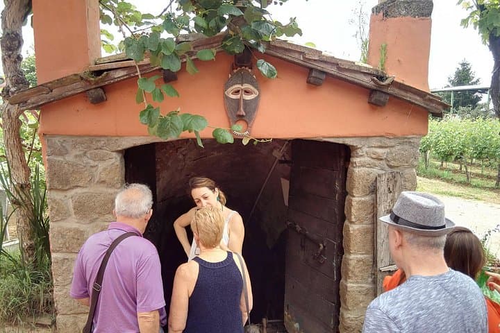 Castelli Romani, Frascati, Castel Gandolfo, Albano Lake + Wine Tasting - 8 Pax