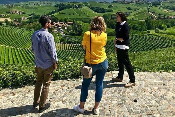 Local, family run wineries
