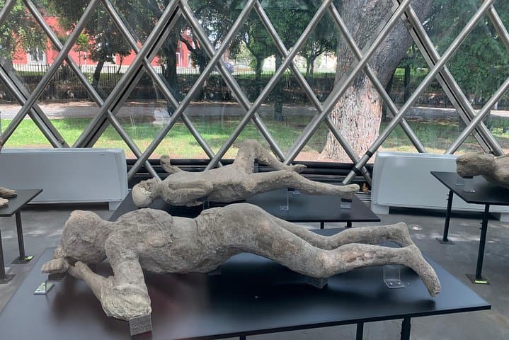 The cast of bodies (Pompei)