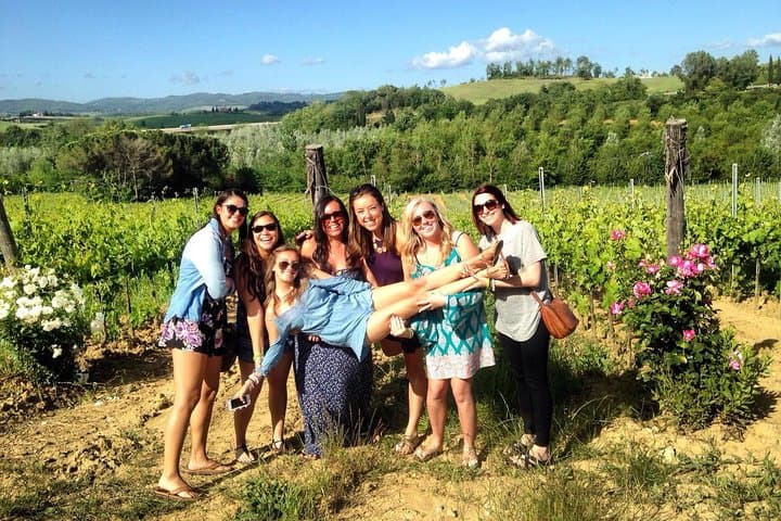 Half-day Chianti Classico Wine tour from Florence - Small Group