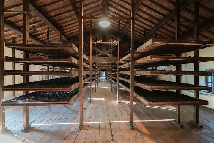 Tenuta Santa Maria di Gaetano Bertani - Amarone della Valpolicella grapes drying racks