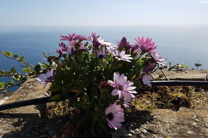 Enjoy a breathtaking view!