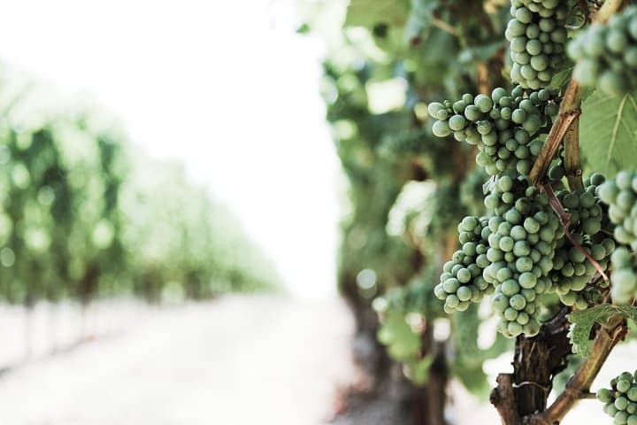 Umbria Food & Wine- 8 Nights Private Tour