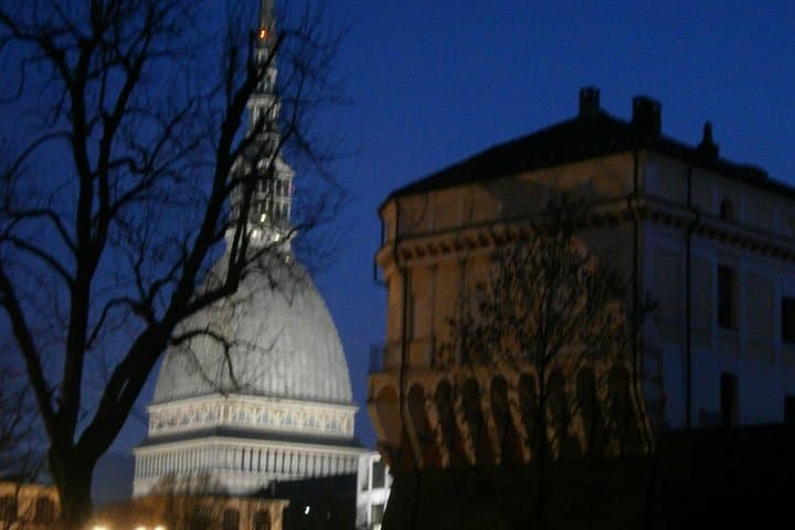 Bastion verde and Mole Antonelliana