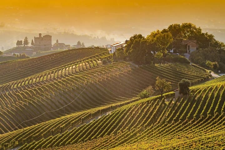 Private Tour: Barolo Wine Tasting in Langhe area from Torino