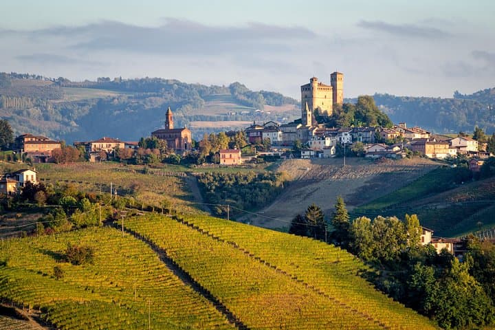 Private Tour: Barolo Wine Tasting in Langhe area from Torino