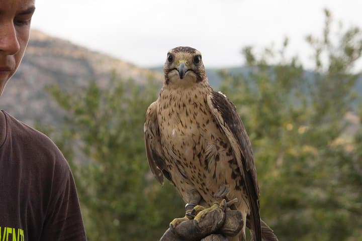 CIVITA EXPERIENCE Borgo Gole Mountain and ... RAPACI del Pollino