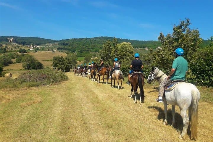 Horseback Riding in the Vineyards