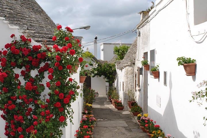 Alberobello with a local tour guide!(shared tour max.15 pax)