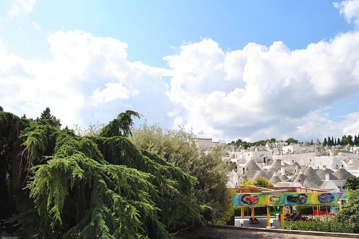 Alberobello with a local tour guide!(shared tour max.15 pax)