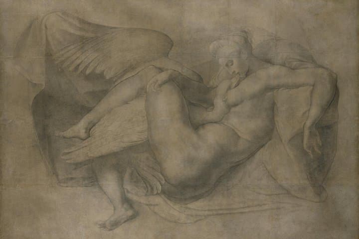 3. Rosso Fiorentino - Leda and the swan
