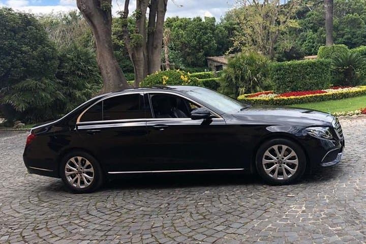 Rome Private Sightseeing Tour Driver + Car