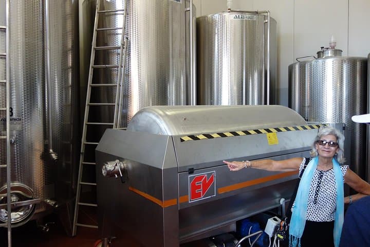 Fermentation vats