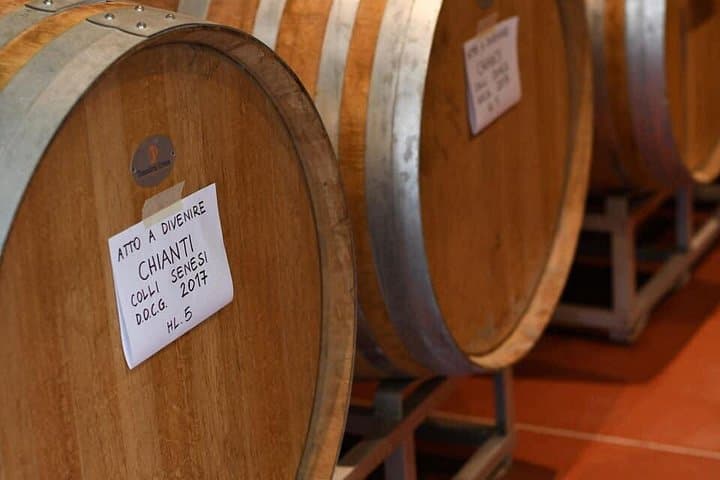 Vineyard visit with local appetisers and wine tasting