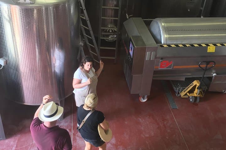 Visiting the fermentation cellar