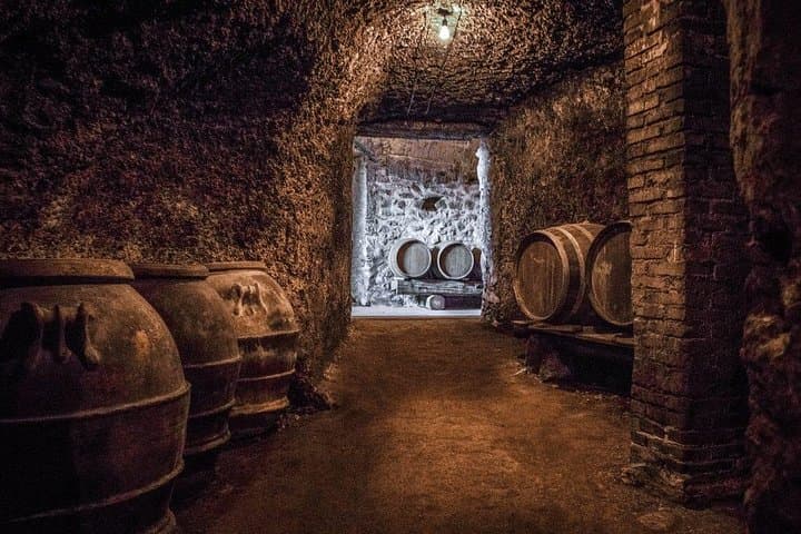 Frascati Wine Tasting Tour: The Flavors of the Roman Countryside