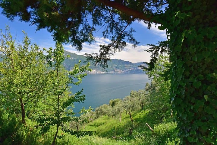 City Escape: Lake Garda Private Day Trip from Verona