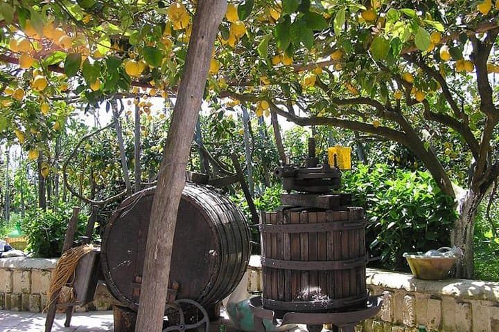 From Naples: Procida Island Day Trip with Lunch