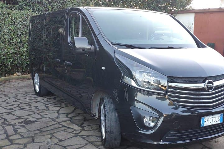 Rome Private Arrival Transfer: Fiumicino Airport to Hotel in Rome