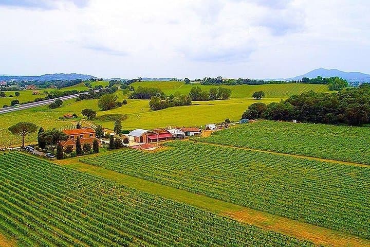 Vigna