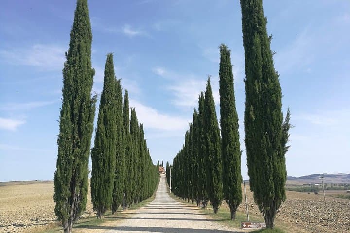 Private Montepulciano & Pienza Day Trip from Florence