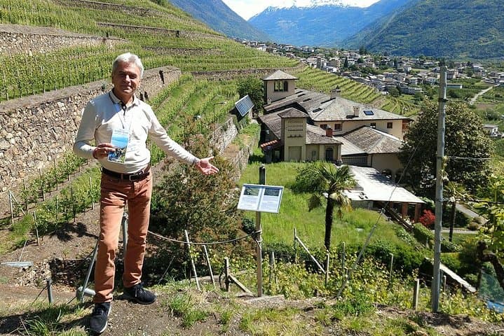 Wine and Food tasting PRIVATE Guided Tour