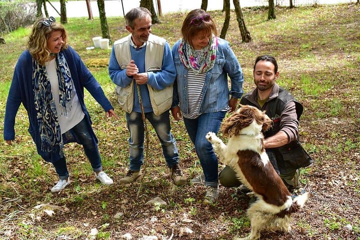 Truffle Hunt & Bio Lunch in Assisi