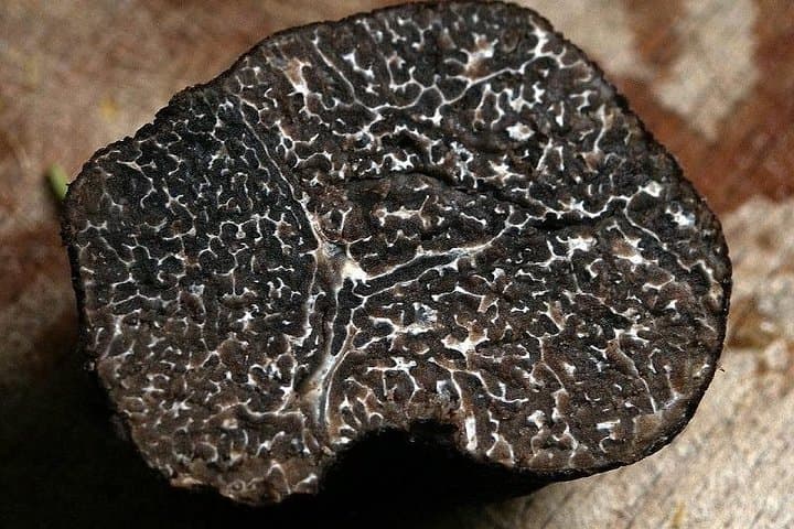 Black Truffle