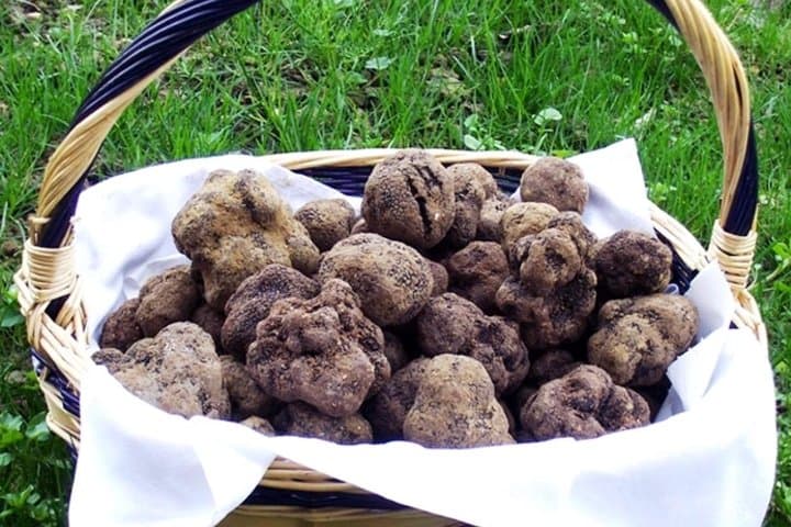 Truffles